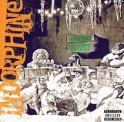 Indorphine : Glowsticks for Clubbing Baby Seals